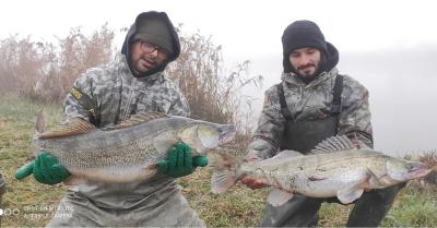 RECUPERO PESCE CONSORZIO BONIFICA FERRARA