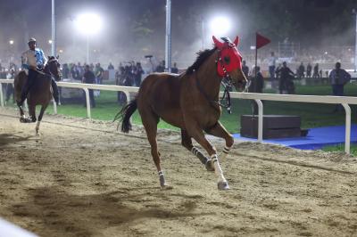 PALIO DI FERRARA