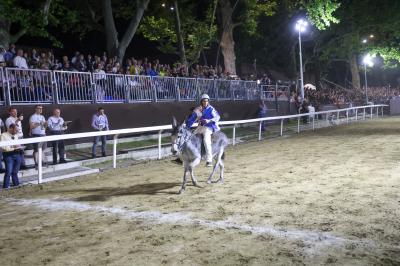 PALIO DI FERRARA