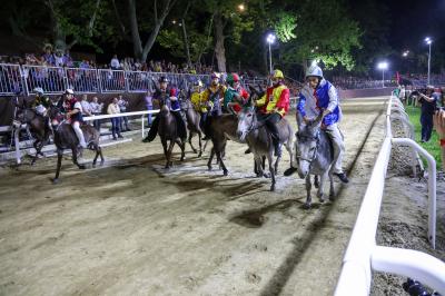 PALIO DI FERRARA