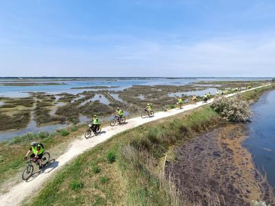 DELTA DEL PO IN BICICLETTA COMACCHIO