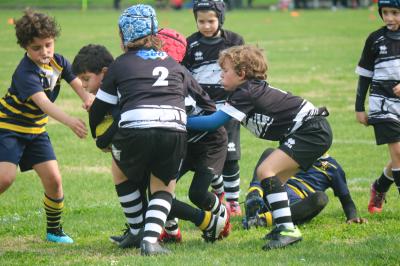 FESTIVA MINI RUGBY CUS FERRARA