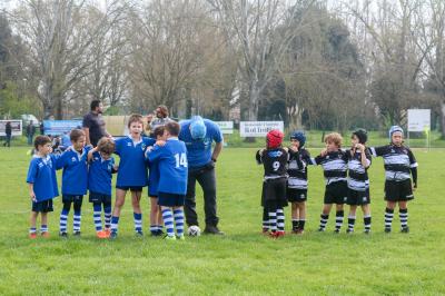 FESTIVA MINI RUGBY CUS FERRARA