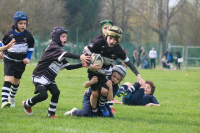 FESTIVA MINI RUGBY CUS FERRARA