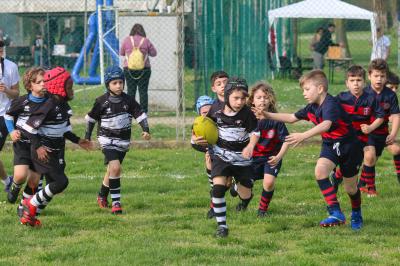 FESTIVA MINI RUGBY CUS FERRARA