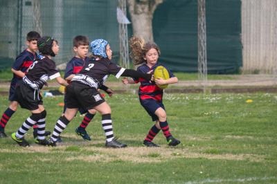 FESTIVA MINI RUGBY CUS FERRARA