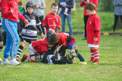 FESTIVA MINI RUGBY CUS FERRARA