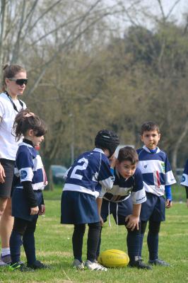 FESTIVA MINI RUGBY CUS FERRARA