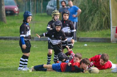 FESTIVA MINI RUGBY CUS FERRARA