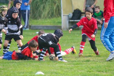 FESTIVA MINI RUGBY CUS FERRARA