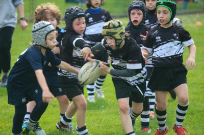 FESTIVA MINI RUGBY CUS FERRARA