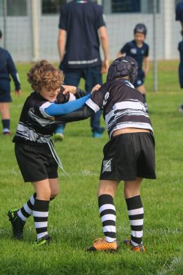 FESTIVA MINI RUGBY CUS FERRARA