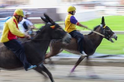 PROVE PALIO 2024 FERRARA