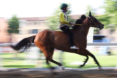 PROVE PALIO 2024 FERRARA