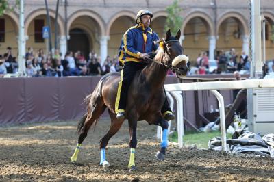 PROVE PALIO 2024 FERRARA