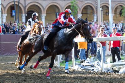 PROVE PALIO 2024 FERRARA