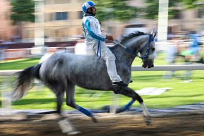 PROVE PALIO 2024 FERRARA