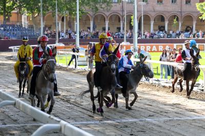 PROVE PALIO 2024 FERRARA