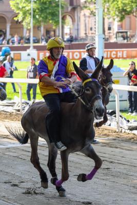 PROVE PALIO 2024 FERRARA