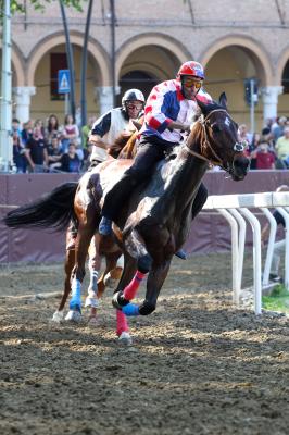 PROVE PALIO 2024 FERRARA