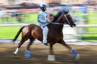 PROVE PALIO 2024 FERRARA