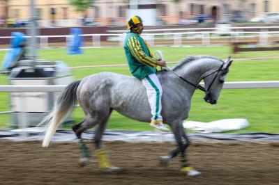 PROVE PALIO 2024 FERRARA