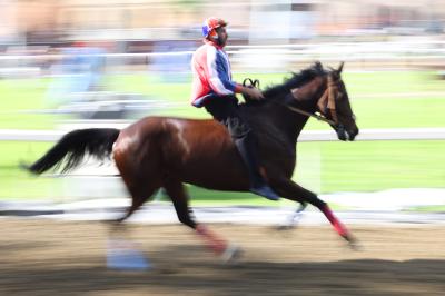 PROVE PALIO 2024 FERRARA