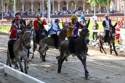 PROVE PALIO 2024 FERRARA