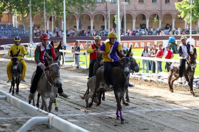 PROVE PALIO 2024 FERRARA