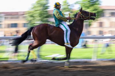 PROVE PALIO 2024 FERRARA