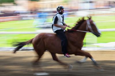 PROVE PALIO 2024 FERRARA