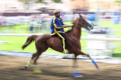 PROVE PALIO 2024 FERRARA