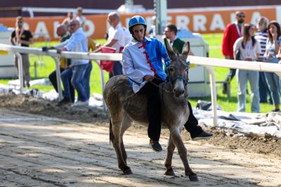 PROVE PALIO 2024 FERRARA