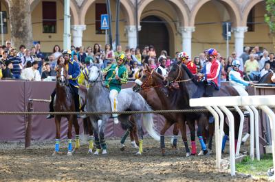 PROVE PALIO 2024 FERRARA