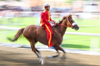 PROVE PALIO 2024 FERRARA