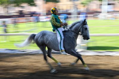 PROVE PALIO 2024 FERRARA