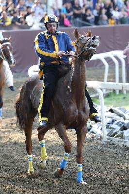 PROVE PALIO 2024 FERRARA