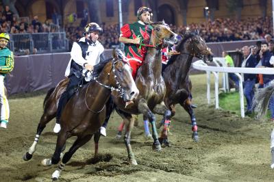 PALIO PIAZZA ARIOSTEA 2024 FERRARA