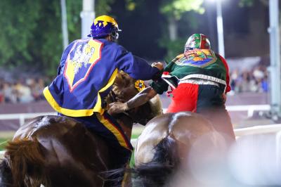 PALIO PIAZZA ARIOSTEA 2024 FERRARA