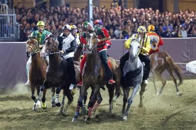 PALIO PIAZZA ARIOSTEA 2024 FERRARA