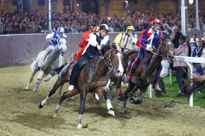 PALIO PIAZZA ARIOSTEA 2024 FERRARA