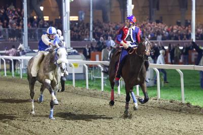 PALIO PIAZZA ARIOSTEA 2024 FERRARA