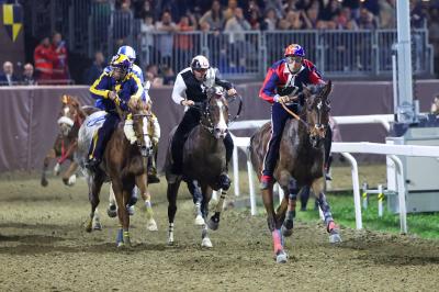 PALIO PIAZZA ARIOSTEA 2024 FERRARA