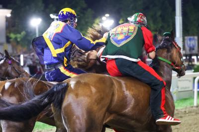 PALIO PIAZZA ARIOSTEA 2024 FERRARA