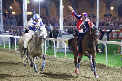 PALIO PIAZZA ARIOSTEA 2024 FERRARA