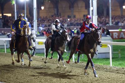 PALIO PIAZZA ARIOSTEA 2024 FERRARA