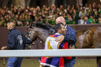 PALIO PIAZZA ARIOSTEA 2024 FERRARA