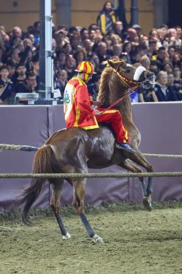 PALIO PIAZZA ARIOSTEA 2024 FERRARA