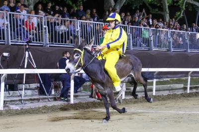 PALIO PIAZZA ARIOSTEA 2024 FERRARA