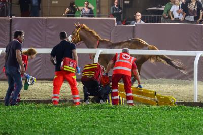 PALIO PIAZZA ARIOSTEA 2024 FERRARA